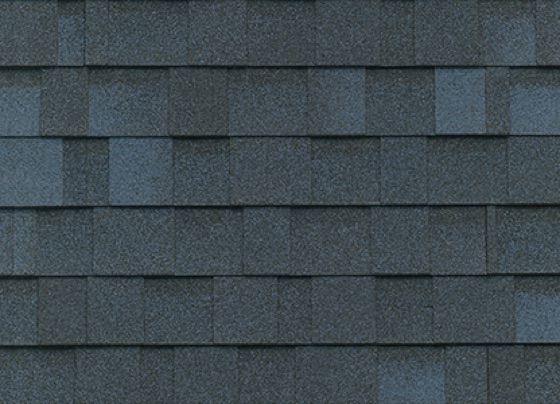 Bardeau Bleu Atlantique