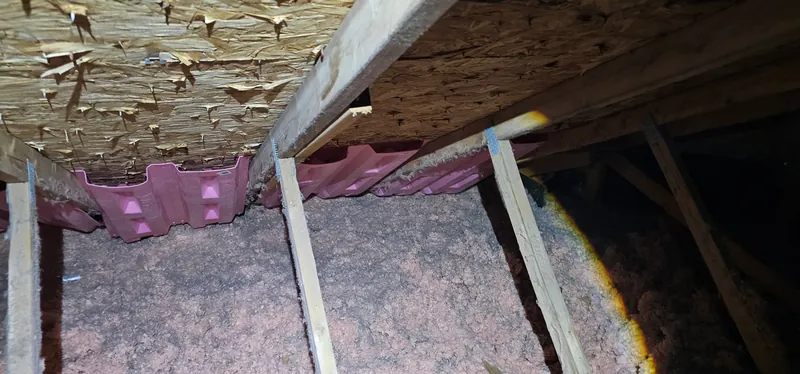 Grenier avant les travaux : ancien isolant en vrac rose, tassé à plat entre les fermes de toit, déflecteurs roses au bord du toit