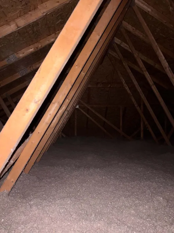 Grenier après les travaux : cellulose soufflée beige, épaisse et uniforme, qui recouvre le bas des fermes de toit jusqu'au pignon